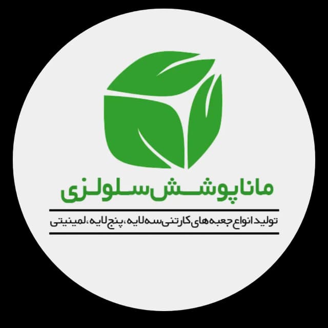 طراحی سایت دستگاه کارتن سازی
